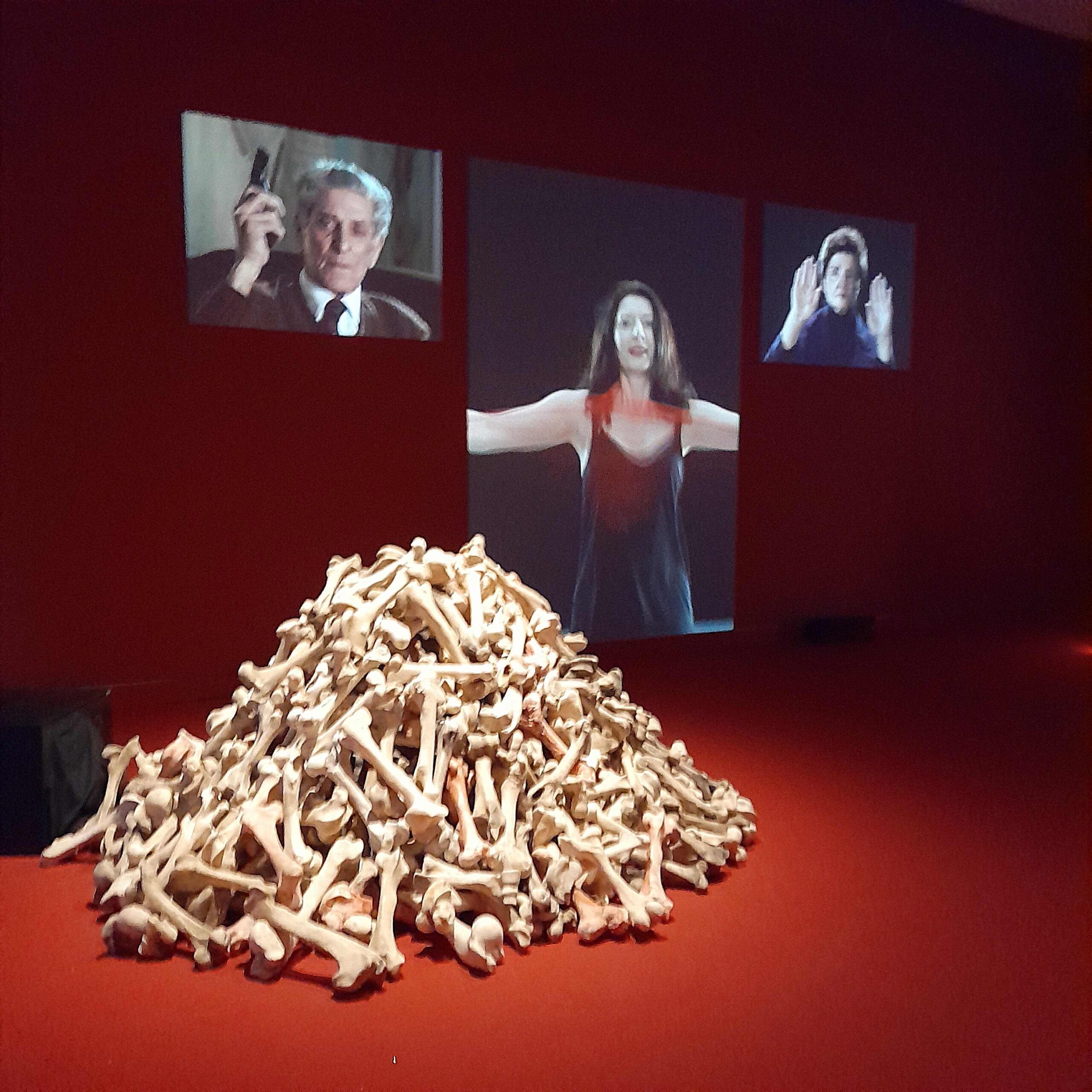 Marina Abramović in Wien